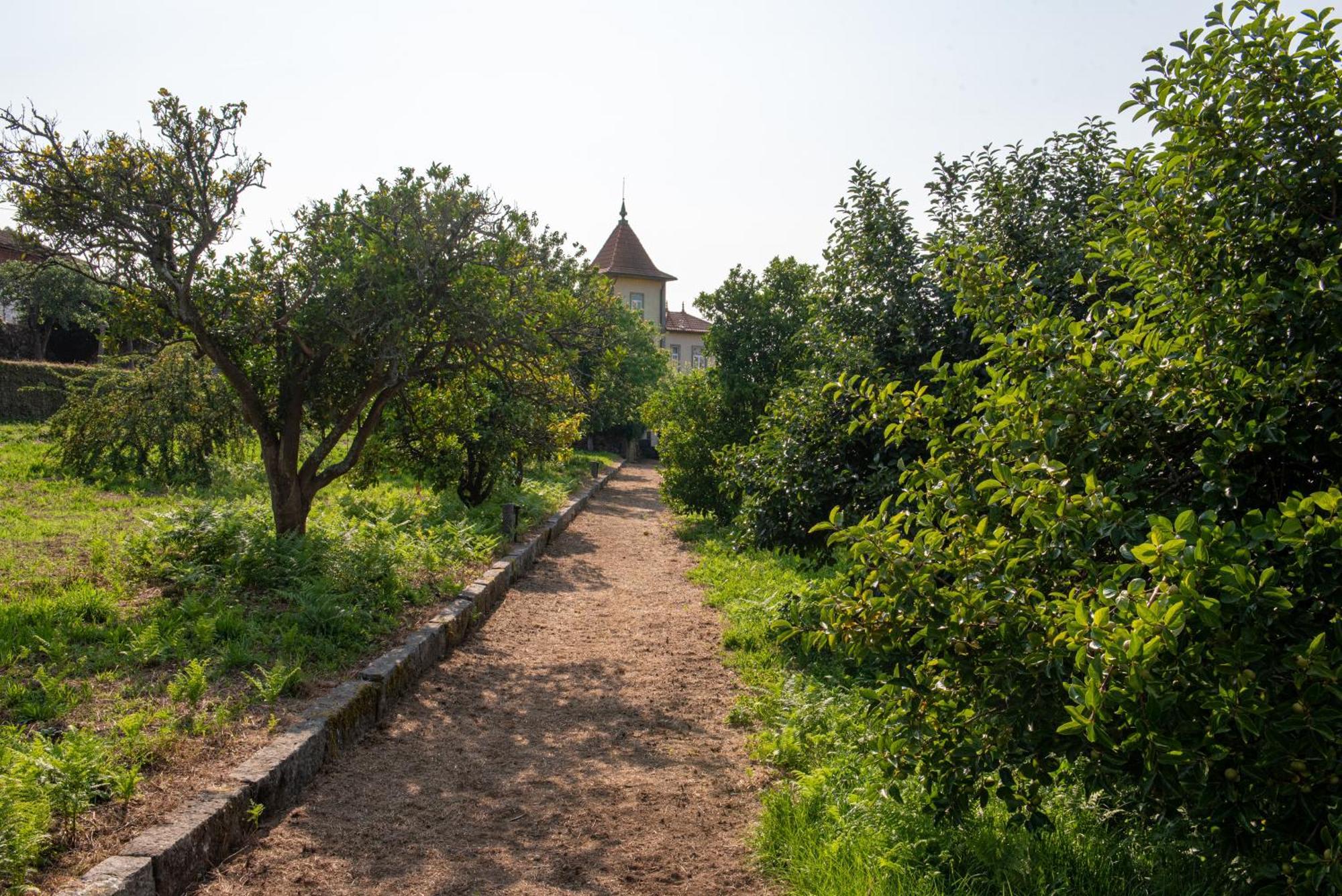 Casa Da Torre Luxury Villa In براغا المظهر الخارجي الصورة